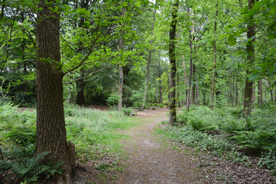 het kuierhoes - vakantiehuis twente, ootmarsum het kuierhoes - vakantiehuis twente, ootmarsum